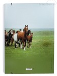 elastomap A4 Paarden